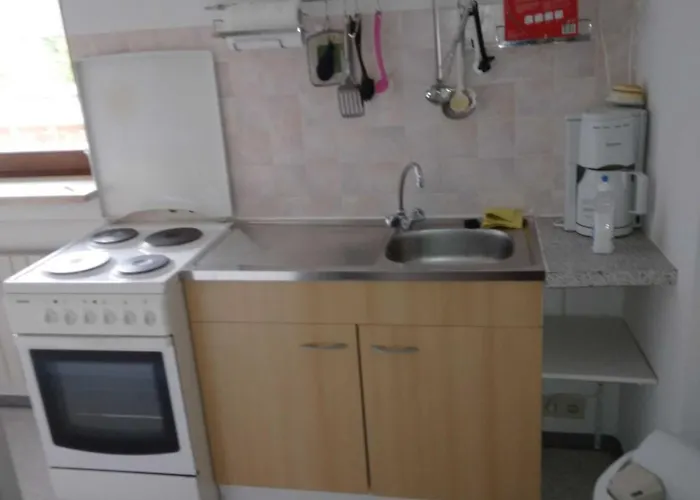 Alpenstern * 比伯维尔