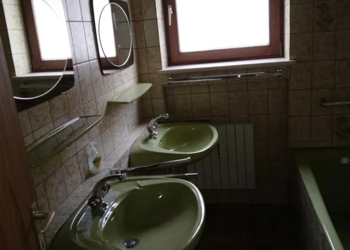 Alpenstern Biberwier