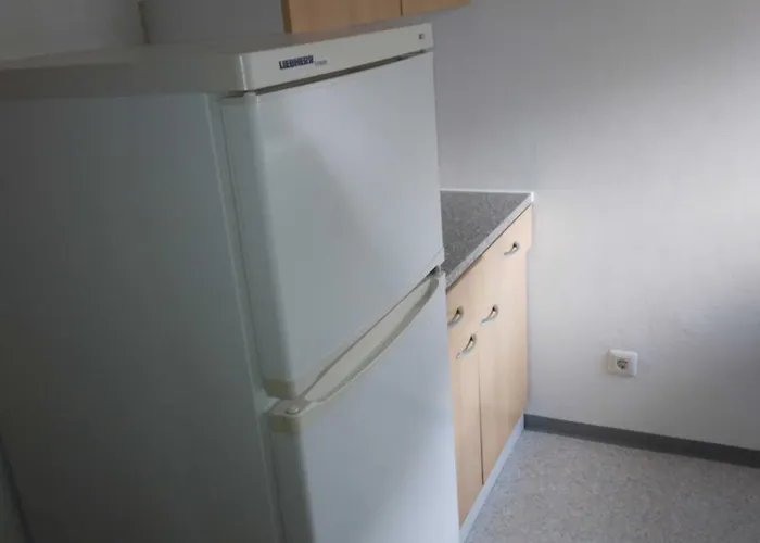 Alpenstern * Biberwier